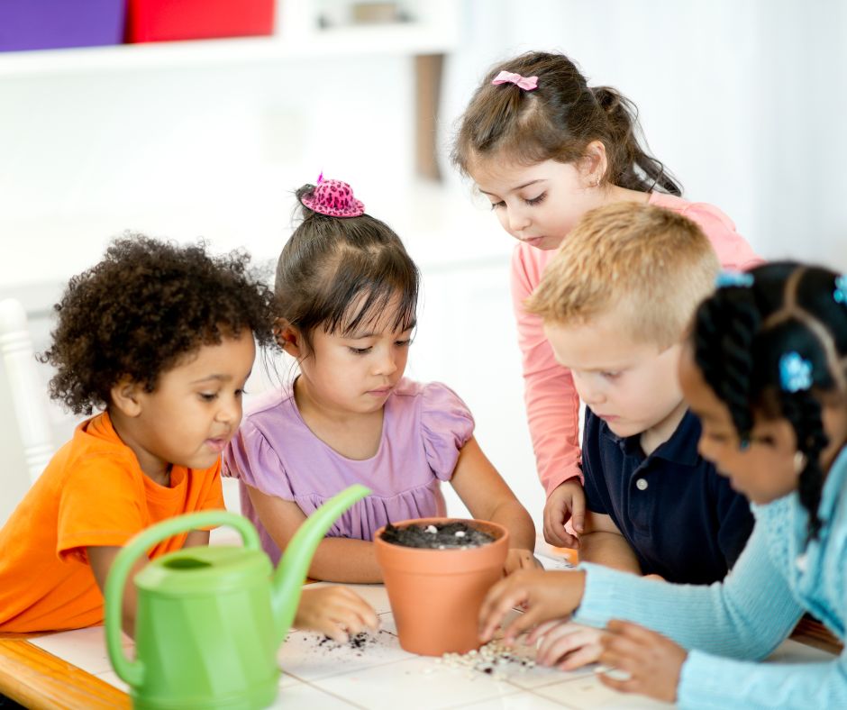  Trường mầm non công lập Quảng Ngãi